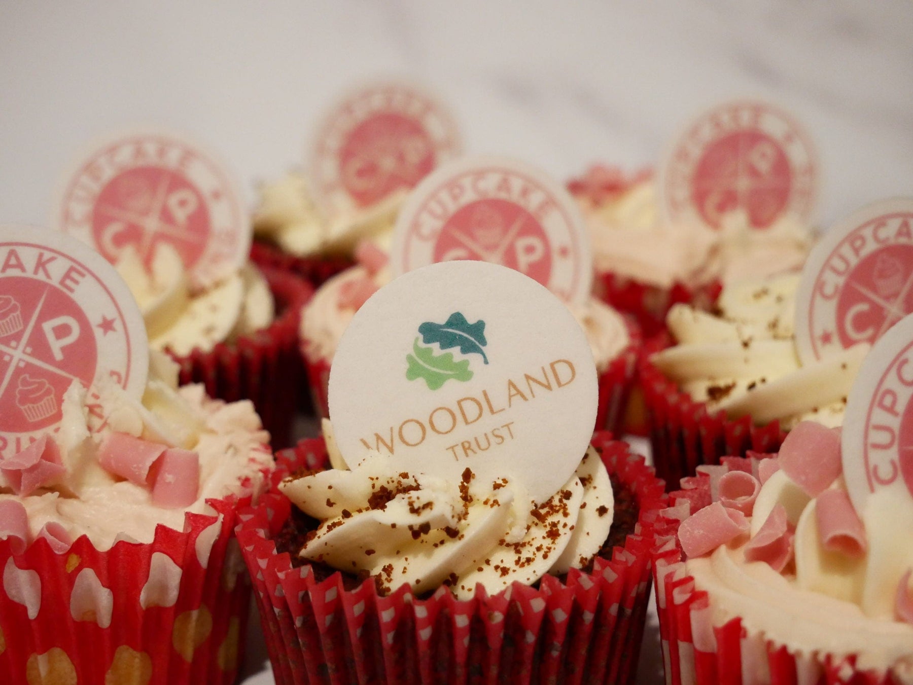 Edible Cocktail Toppers Cupcake 24 pieces x 1.5 inch - £5 Woodland Trust Charity Cupcake Toppers